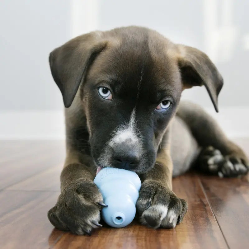 KONG Puppy Teething Rubber Toy - Engaging Chew, Chase, and Fetch Activity - Blue Stuffable Dog Supply
