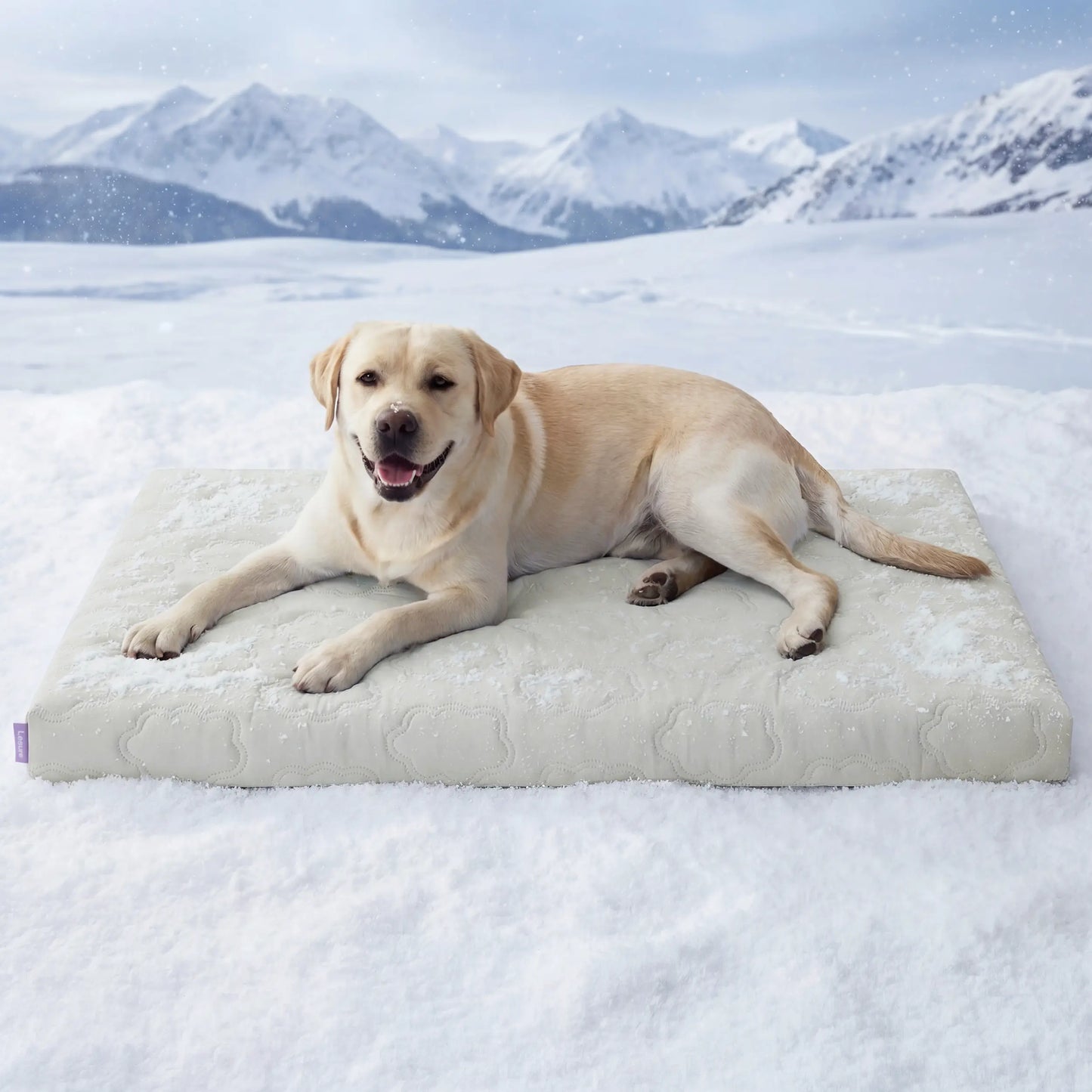 Lesure Orthopedic Cooling Mat for Extra Large Dogs – Q-Max>0.5 with Washable Cover and Non-Slip Egg Crate Foam