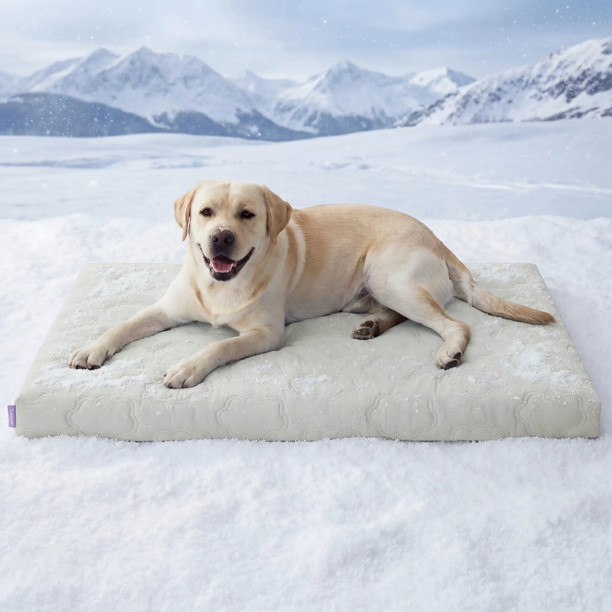 Lesure Orthopedic Cooling Mat for Extra Large Dogs – Q-Max>0.5 with Washable Cover and Non-Slip Egg Crate Foam