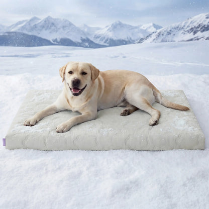 Lesure Orthopedic Cooling Mat for Extra Large Dogs – Q-Max>0.5 with Washable Cover and Non-Slip Egg Crate Foam
