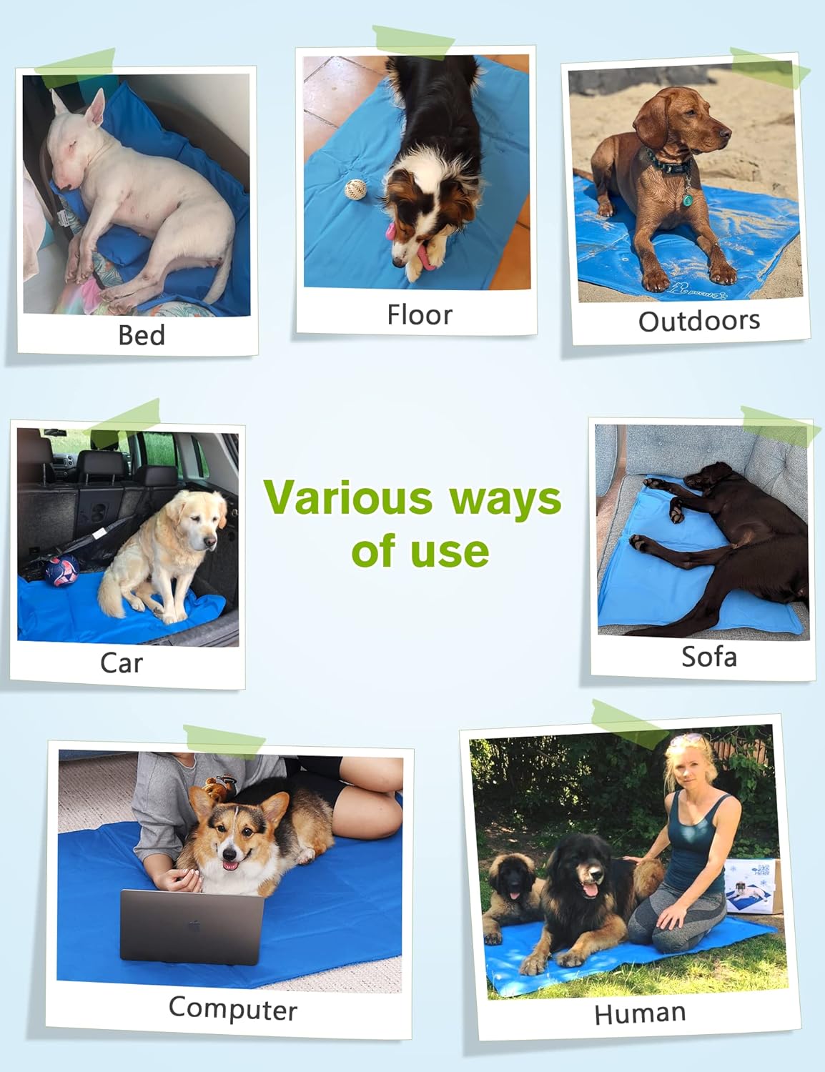Premium Medium Dog Cooling Mat - 65x50cm, Non-Toxic Gel Self-Cooling Pad for Summer Comfort - Ideal for Dogs and Cats