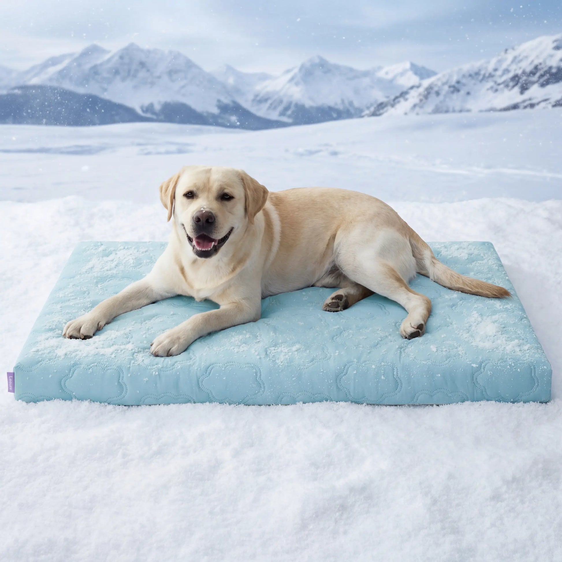 Lesure Orthopedic Cooling Mat for Extra Large Dogs – Q-Max>0.5 with Washable Cover and Non-Slip Egg Crate Foam