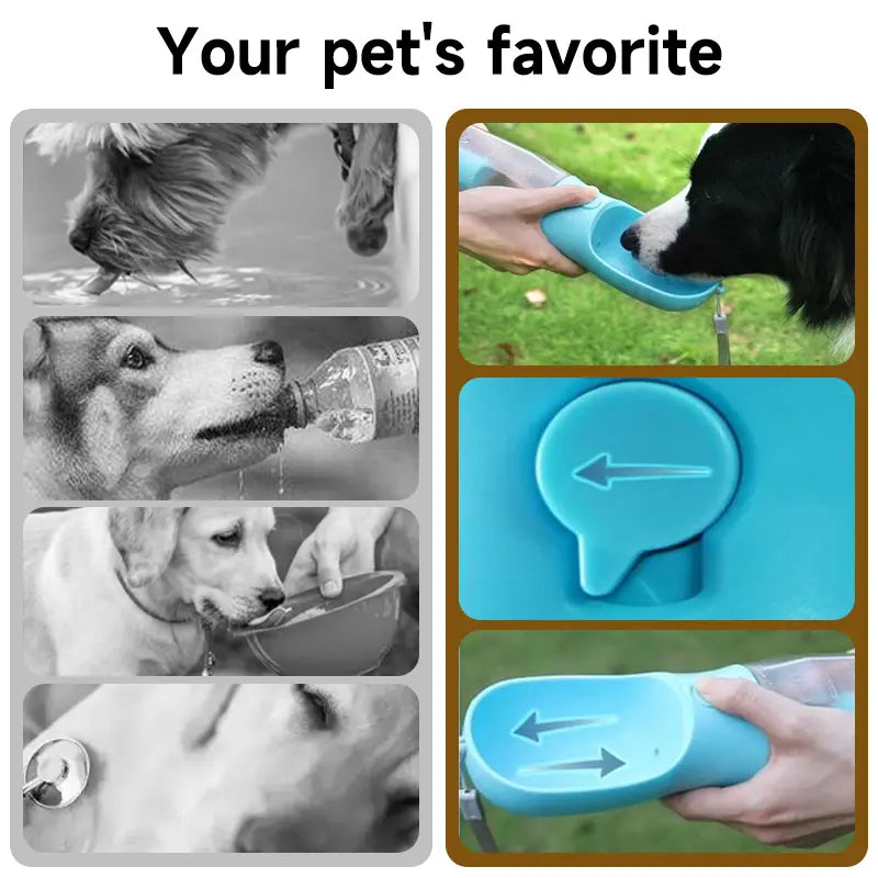 3-in-1 Portable Water Bottle for Dogs with Food Container and Poop Bag Holder - Ideal for Outdoor Activities, 20 Oz, Blue