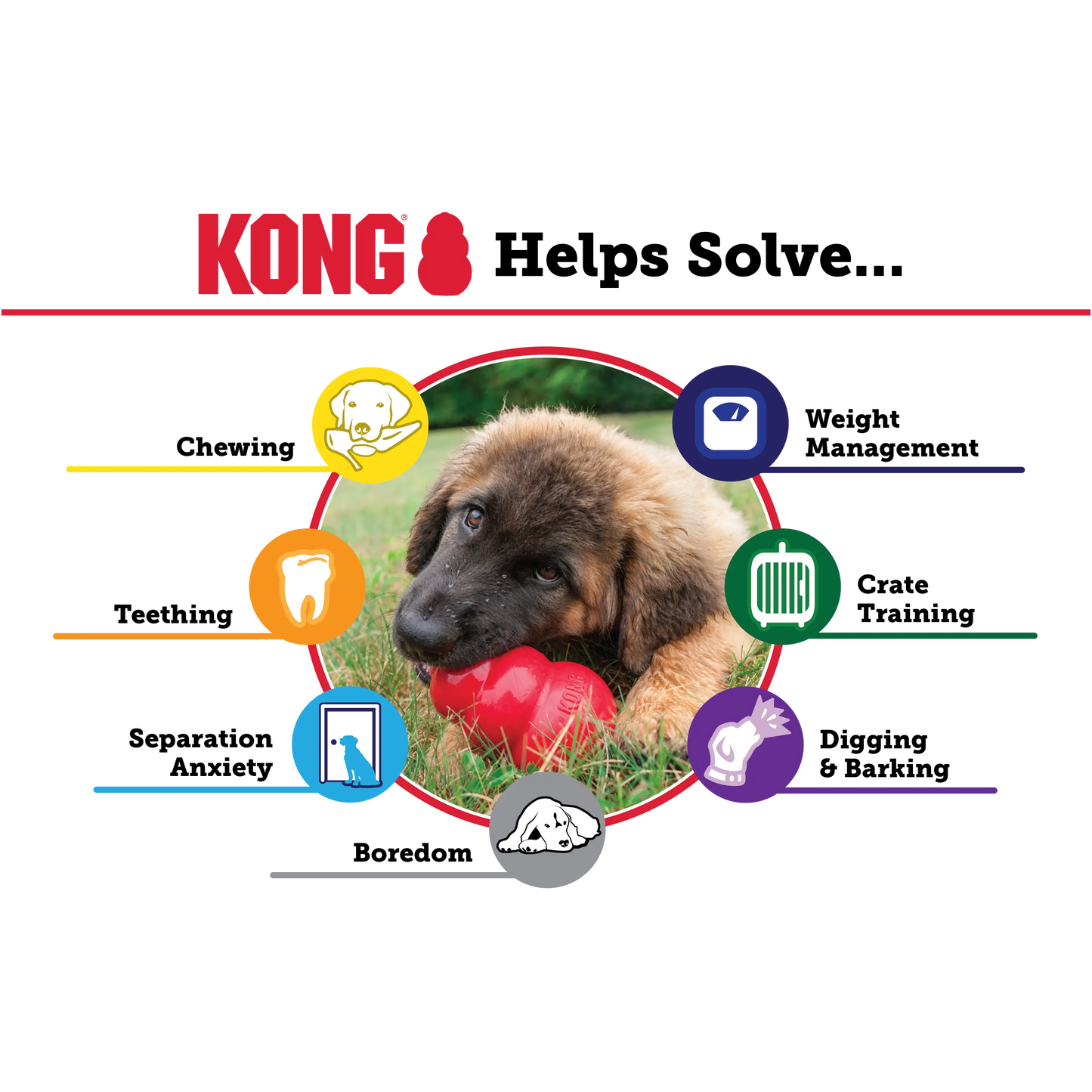 KONG Puppy Teething Rubber Toy - Engaging Chew, Chase, and Fetch Activity - Blue Stuffable Dog Supply